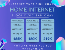 Lắp mạng VNPT Bình Chánh