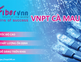 Gói cước internet cáp quang Doanh Nghiệp VNPT Cà Mau mới nhất