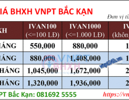 BHXH VNPT Bắc Kạn, Phần mềm bảo hiểm xã hội VNPT