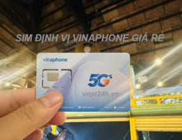 Sim định vị Vinaphone TPHCM